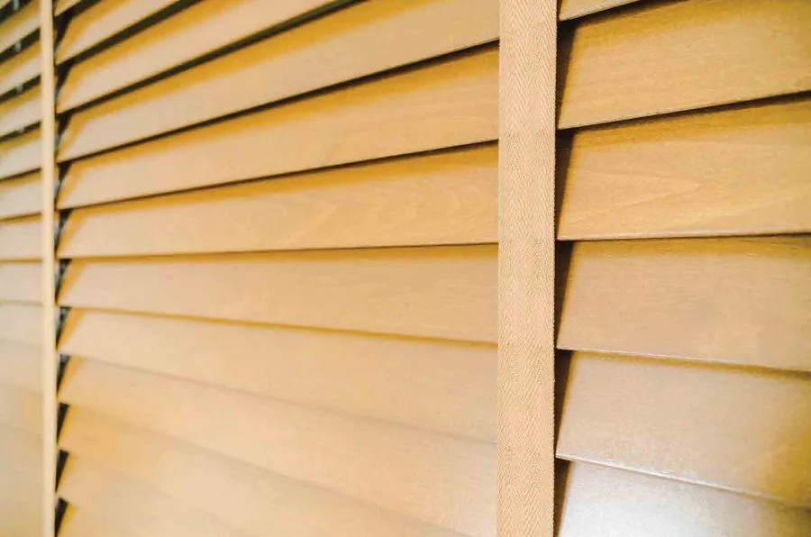 Detail of MOWIN blind slats and ladder tape