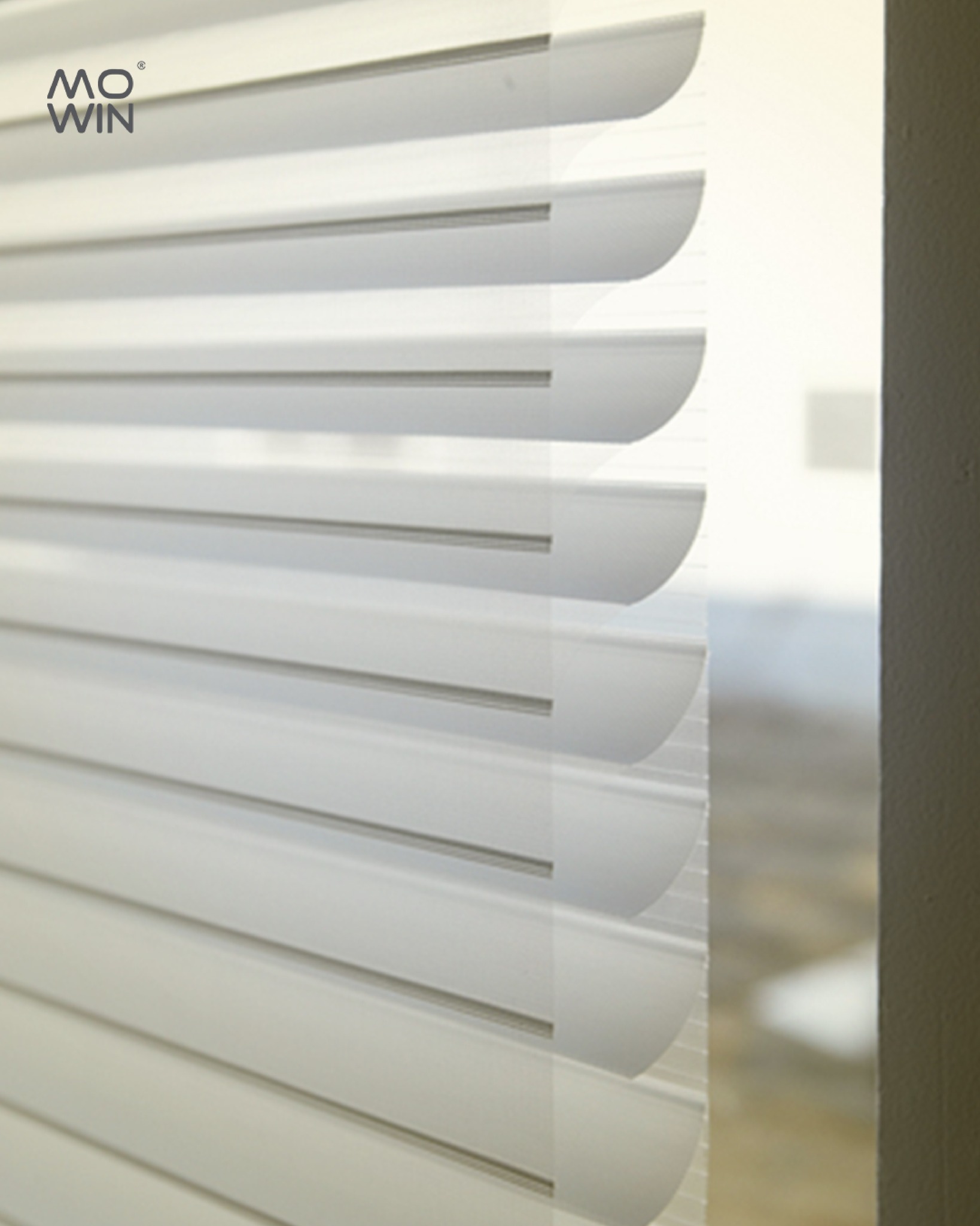 3D Blinds MOWIN
